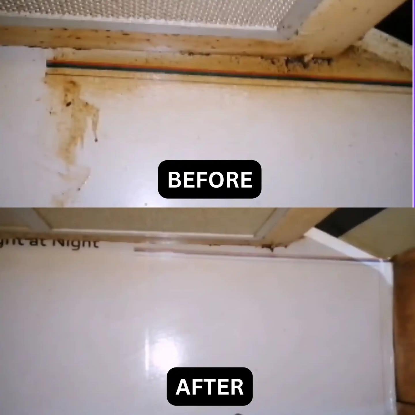 Home and kitchen cleaner (Free Delivery)
